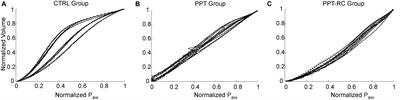 Regional Lung Recruitability During Pneumoperitoneum Depends on Chest Wall Elastance – A Mechanical and Computed Tomography Analysis in Rats